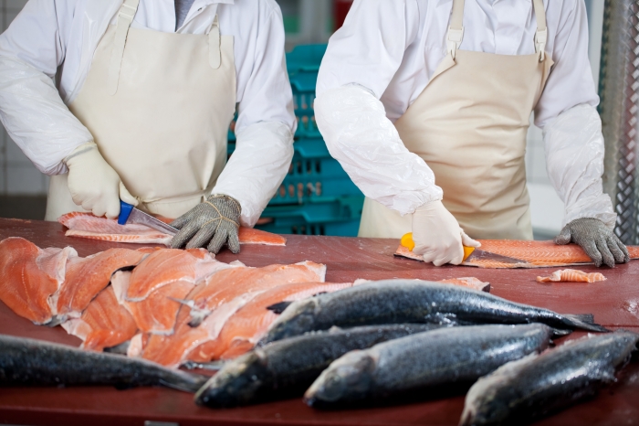 Référencement d'un site web de poissonnier être compétitif en tant que poissonnier